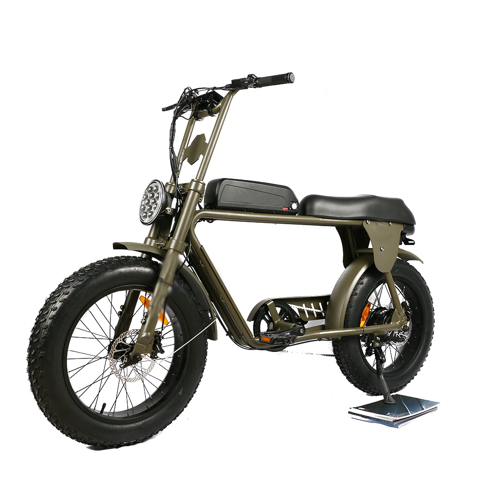 Dual Motor Electric Motorcycle Frame - Biciclette Elettriche a Doppio Motore Più