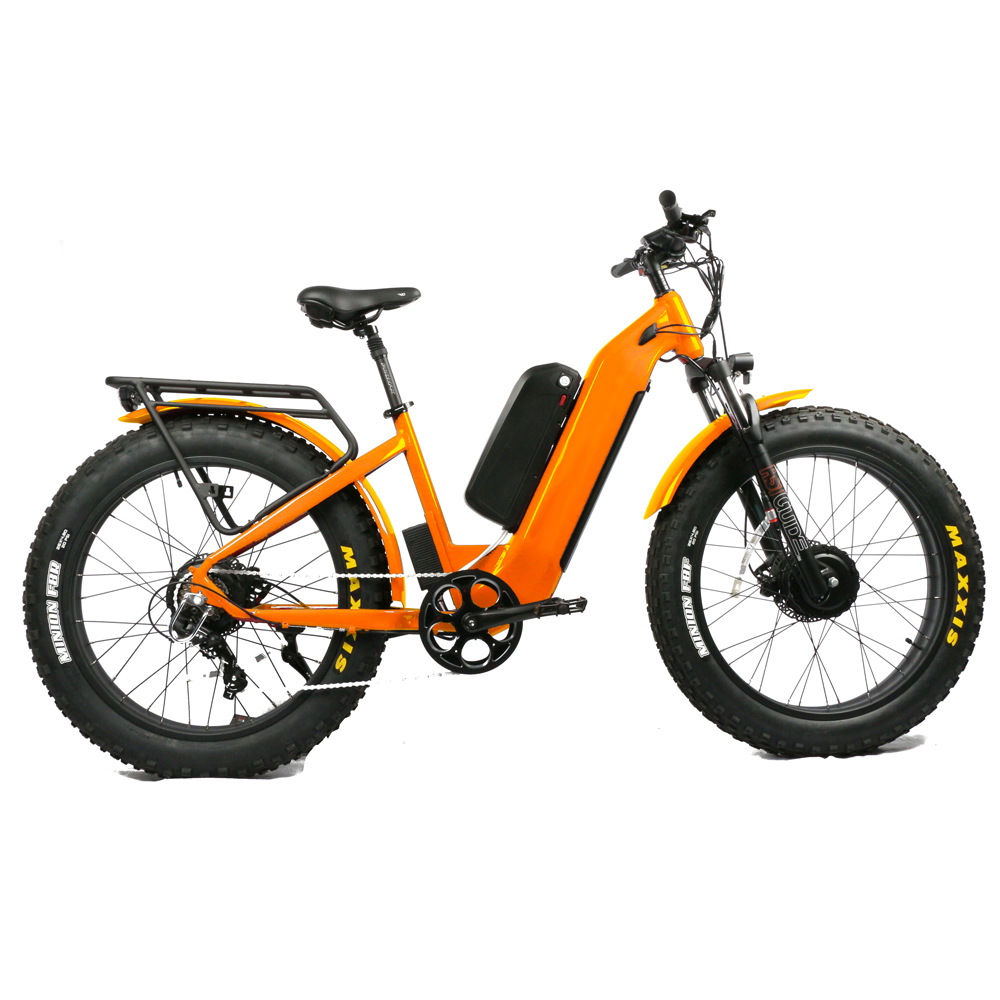 Dual Motor Electric Motorcycle Frame - Bicicletta Elettrica da Montagna con Forcella