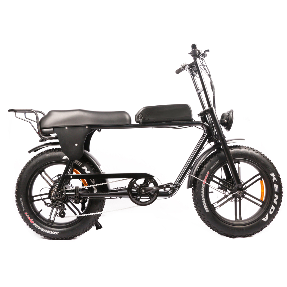 Biciclette Elettriche a Doppio - Dual Motor Electric Motorcycle Frame recensione e prezzo